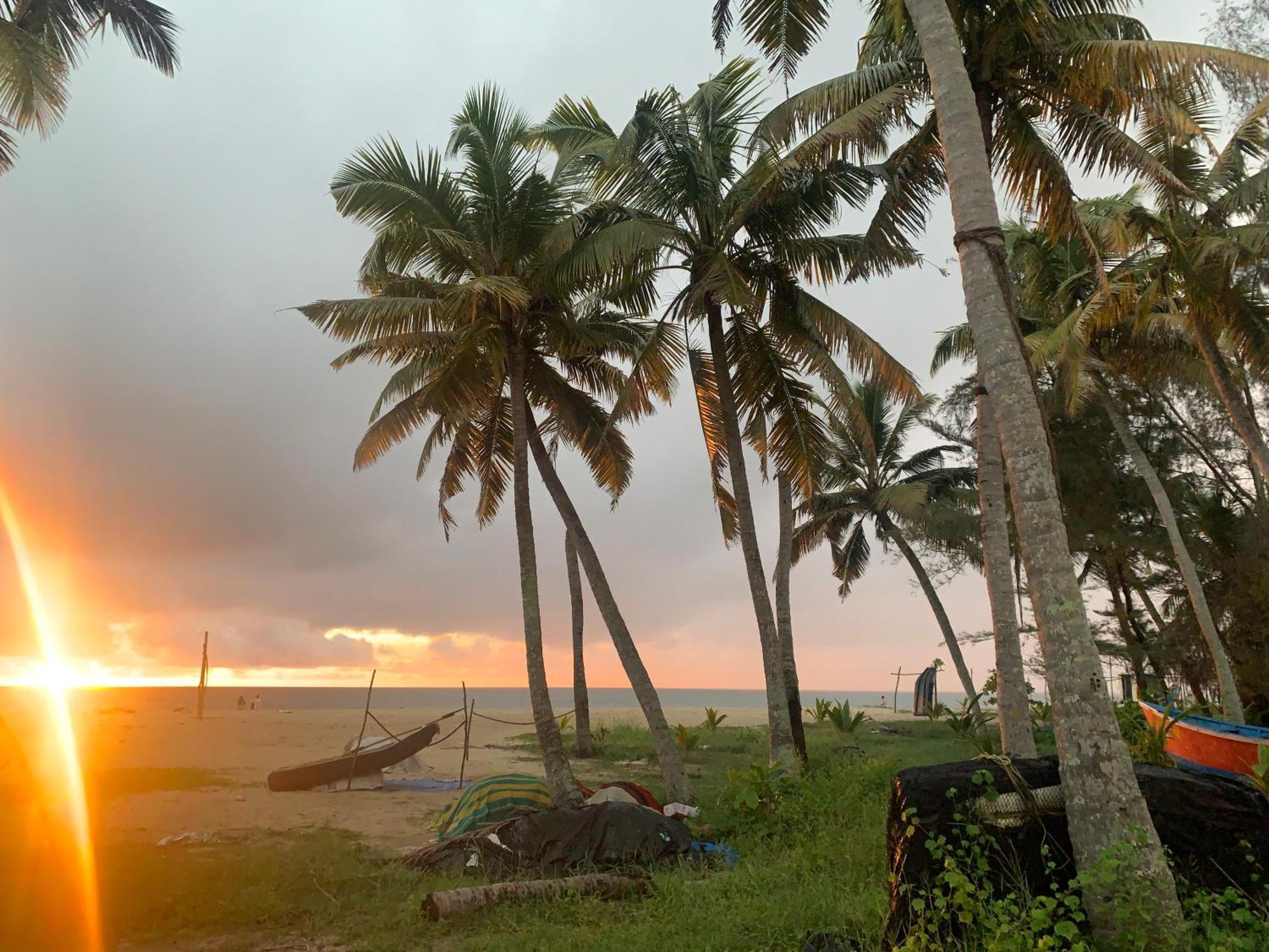 Shoreline Marari Beach Villa At Golden Beach Mararikulam Alappuzha Eksteriør billede